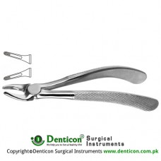Gibb English Pattern Tooth Extracting Forcep Fig. 147 (For Upper Roots) Stainless Steel, Standard
